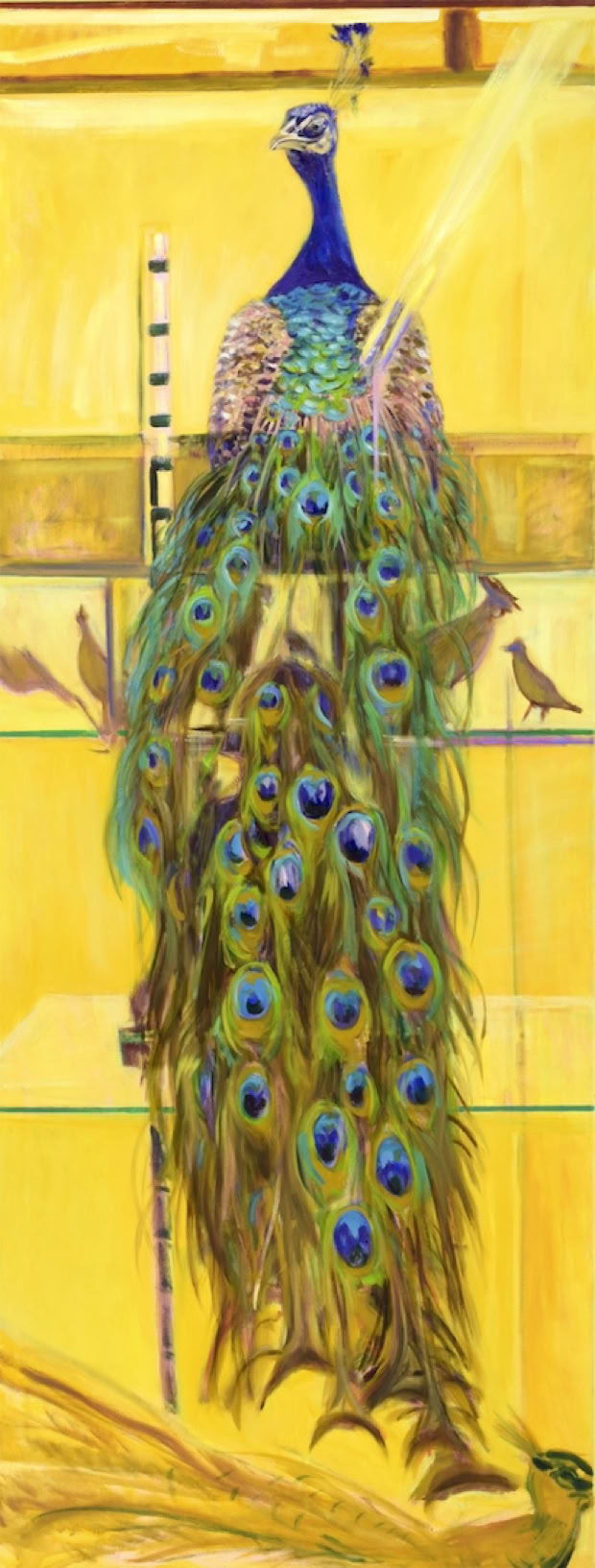 Pfau gelber Hintergrund
