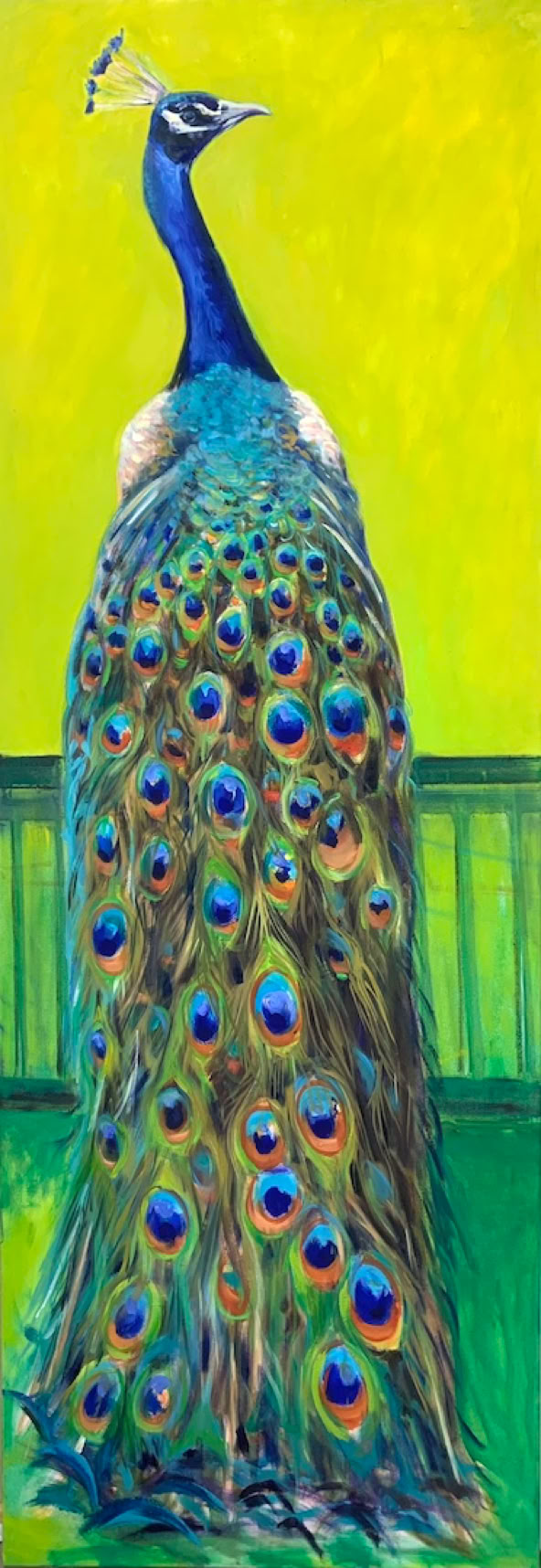 Pfau, Balz, Neuwied