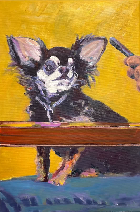 60 x 40 cm, kleiner Hund